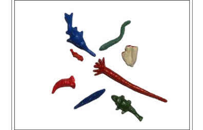 ERA PALEOZOICA