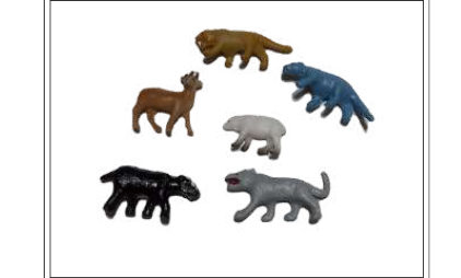 ERA CENOZOICA