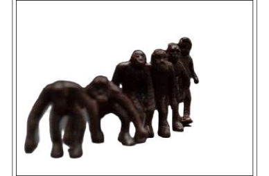 EVOLUCIÓN DEL HOMBRE