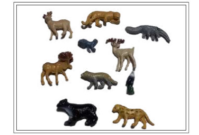 ANIMALES GRANDES DE BOSQUE