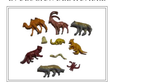 ANIMALES GRANDES DE DESIERTO