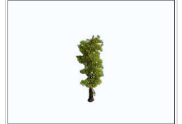 ÁRBOL DE ABEDUL 8 CM