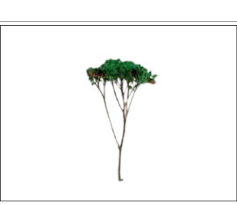 ÁRBOL DE COPA 7 CM