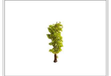 ÁRBOL DE EUCALIPTO 8 CM