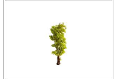 ÁRBOL DE EUCALIPTO 13 CM